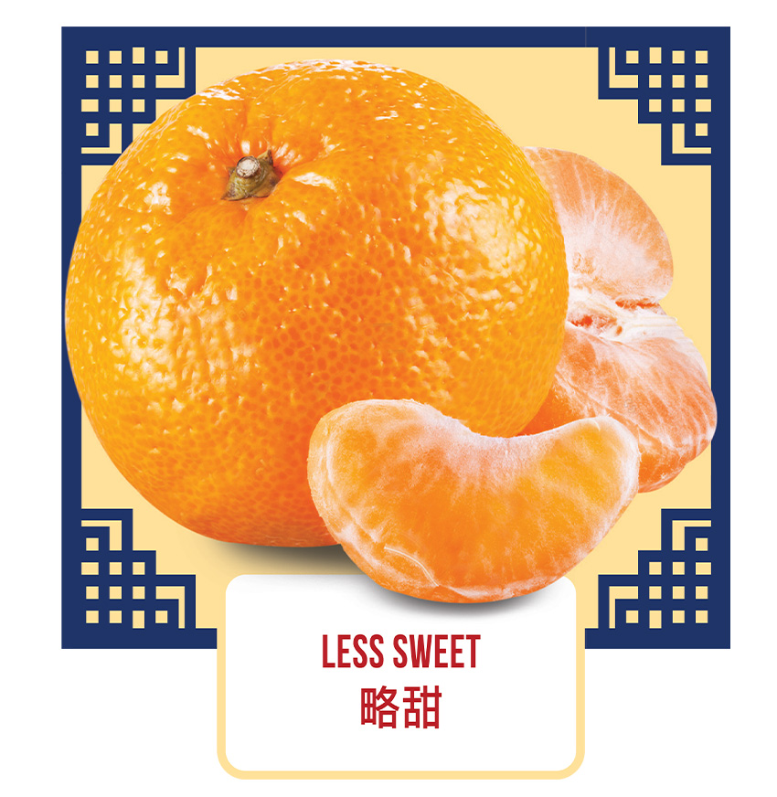 Jiaokan - Pokan - Learn the Taste & Characteristics of Mandarin Oranges