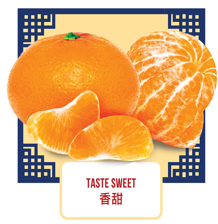 Kinnow - Pokan - Learn the Taste & Characteristics of Mandarin Oranges