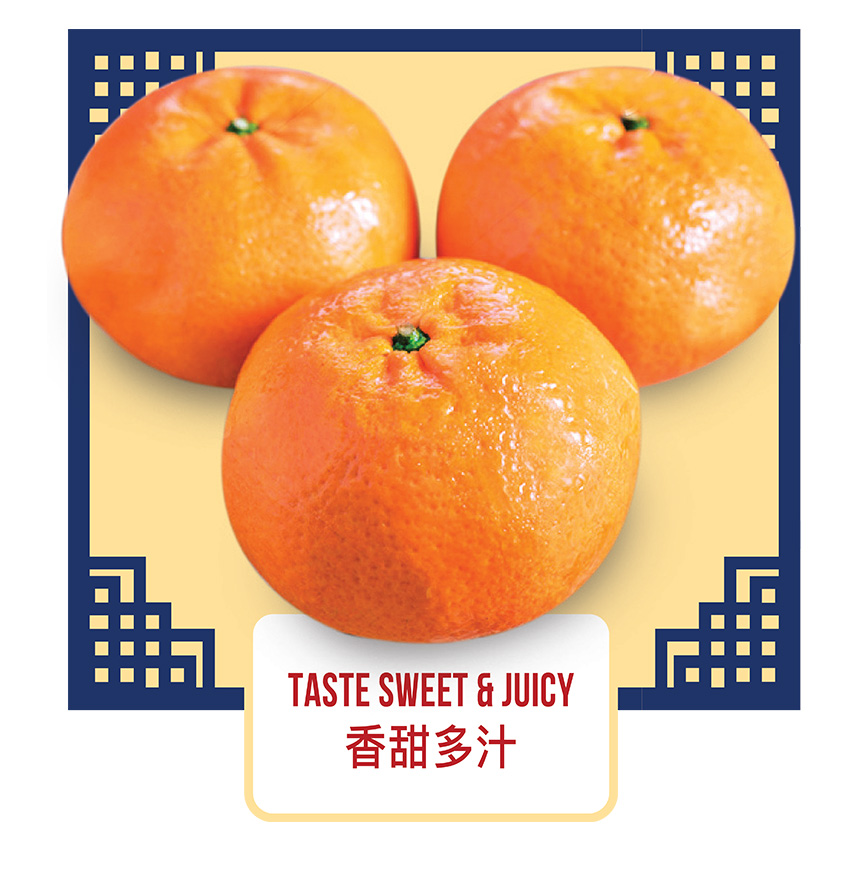Lukan - Pokan - Learn the Taste & Characteristics of Mandarin Oranges