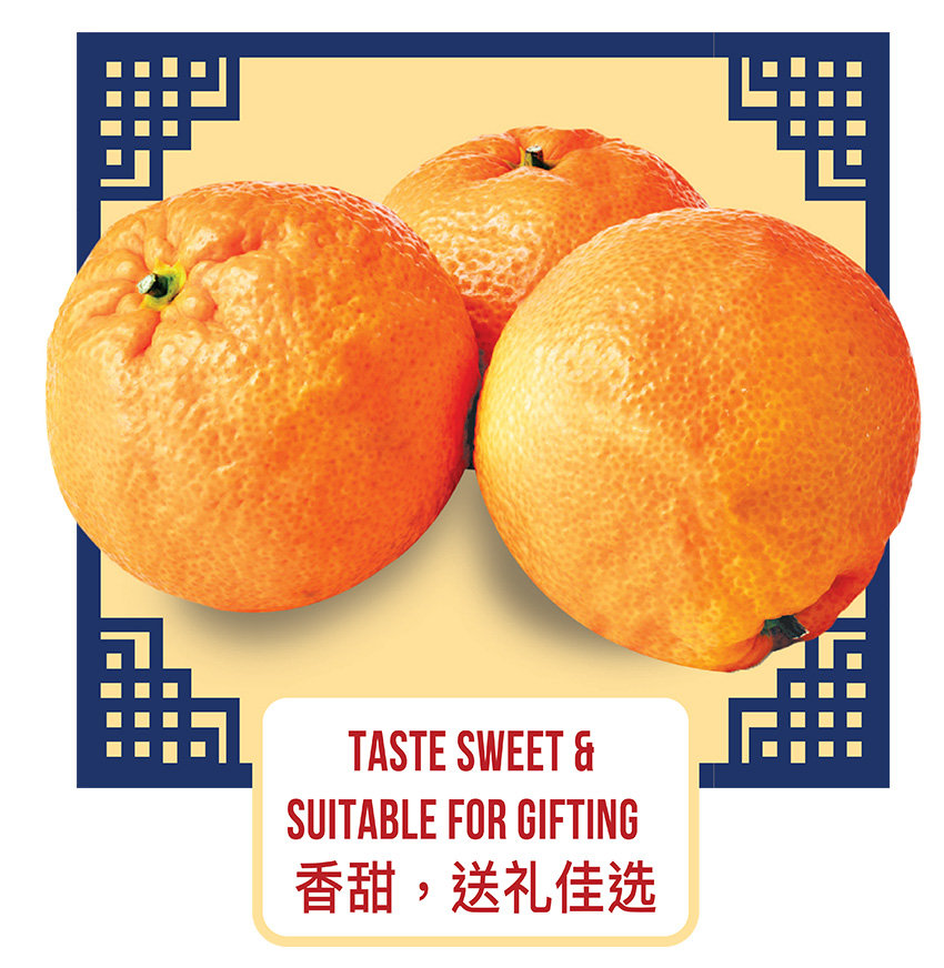 Pokan - Learn the Taste & Characteristics of Mandarin Oranges