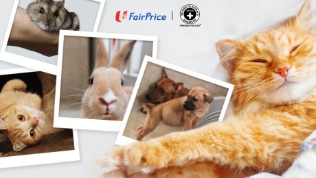 SPCA & FairPrice
