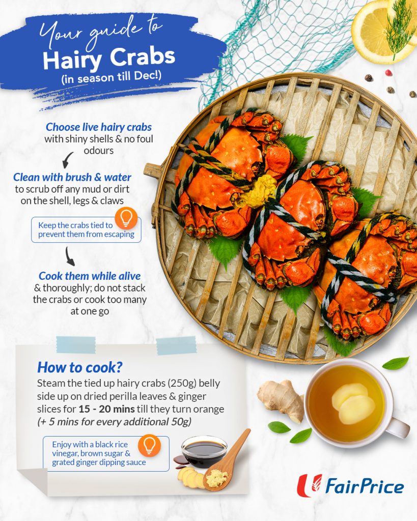 Your Guide to Hairy Crabs