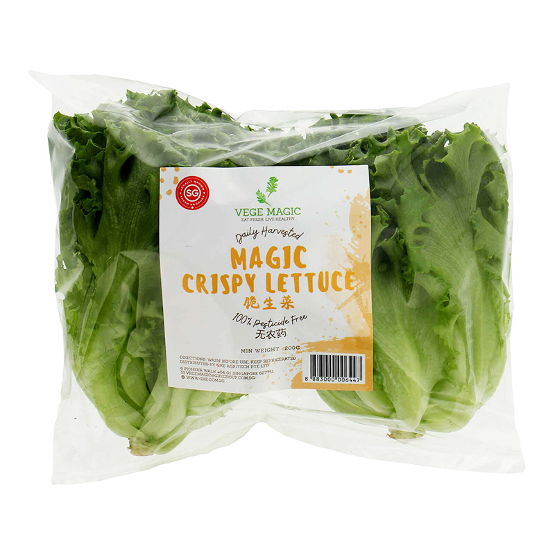 Vege Magic Crispy Lettuce