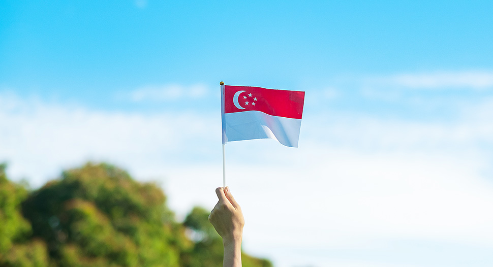 A hand holding the Singapore flag against a blue sky, with trees in the background
