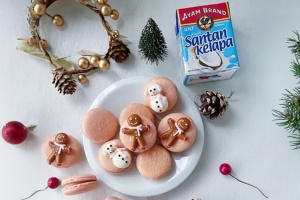 Christmas Coconut Macarons