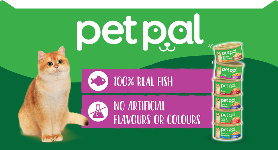Unleash Whisker-licking Joy with Pet Pal!